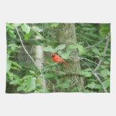 DE RED CARDINAL handdoek (Horizontaal)