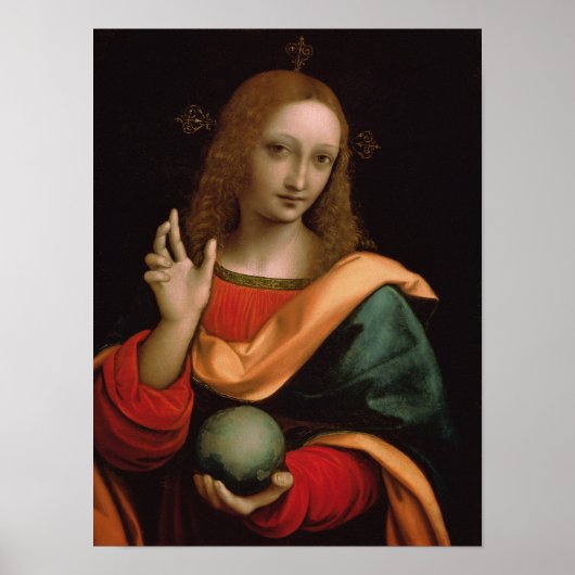 De redder van de wereld poster (Voorkant)