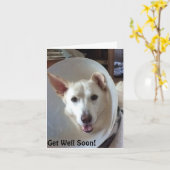 De Redding Centraal Texas van de Duitse herder Kaart (Gele Bloem)