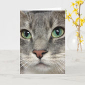 De Redding van de Kat van Greyfoot - Die Ogen - Kaart (Gele Bloem)