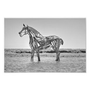 De reddingsbootpaarden, Wells-next-the-Sea Foto Afdruk