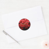 De reden voor Kerstmis is Christus Ronde Sticker (Envelop)