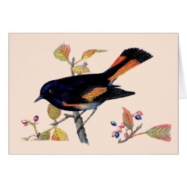 De Redstart Bird Bedankt Card