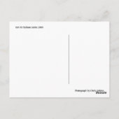 De Reeks 2009 van de Ballon van de hete Lucht Briefkaart (Achterkant)