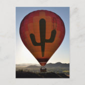 De Reeks 2009 van de Ballon van de hete Lucht Briefkaart (Voorkant)