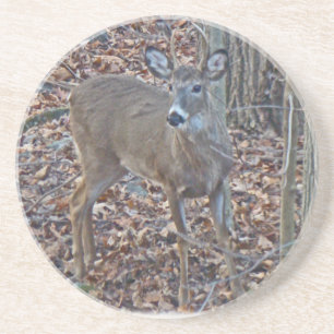 De Reeks van de Bok van de Aar van de Herten van Zandsteen Onderzetter