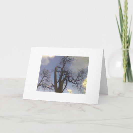 De Reeks van de Boom van de hemel Kaart (Voorkant)