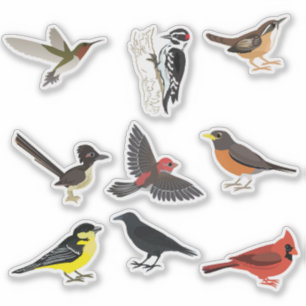 De Reeks van de Sticker van de Vogels van de