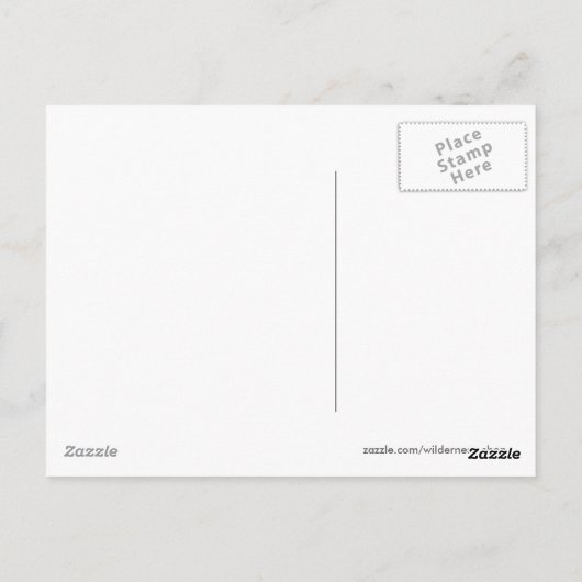 De Reeks van het Briefkaart van de WOLF & van het (Achterkant)