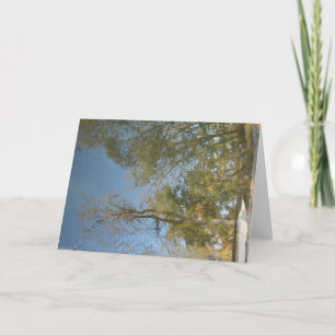 De Reflecties van de boom bij de Mill Kaart