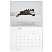 De Regal Bald Eagle Kalender (Jan 2027)