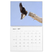 De Regal Bald Eagle Kalender (Mar 2027)