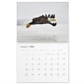De Regal Bald Eagle Kalender (Jan 2026)