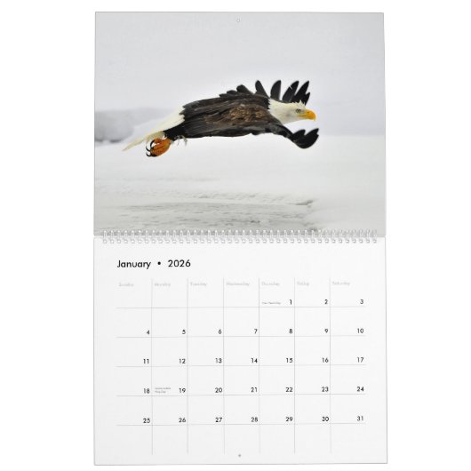 De Regal Bald Eagle Kalender (Jan 2026)