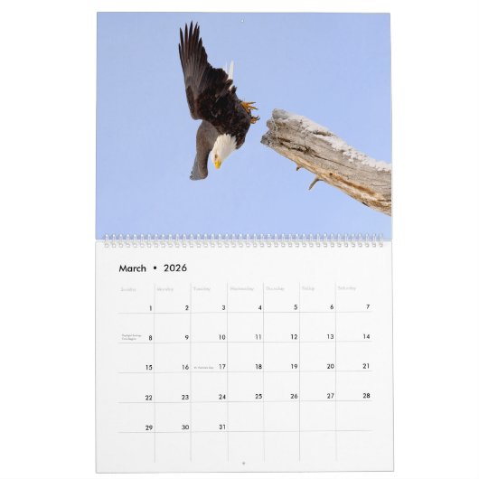 De Regal Bald Eagle Kalender (Mar 2026)