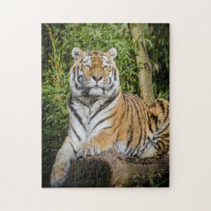De Regal Tiger Photo Puzzle met Gift Box Legpuzzel