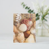 De Regeling van de zeeschelp Briefkaart (Staand voorkant)