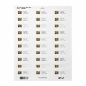 De Regels van het bal van een Grunge muur Etiket (Full Sheet)