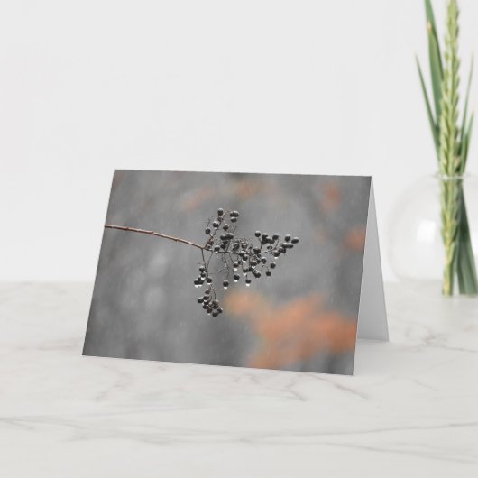 De Regen van de winter, kaart (Voorkant)