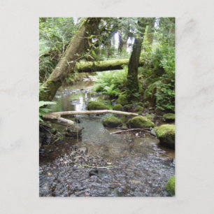 De Regenachtigere Kreek van de vos, Oregon Briefkaart