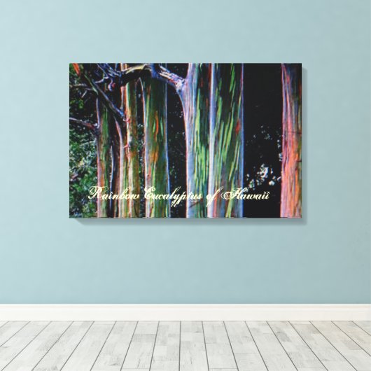 De regenboog Eucalyptus Boom van Hawaï Canvas Afdruk (Insitu (Houten vloer))