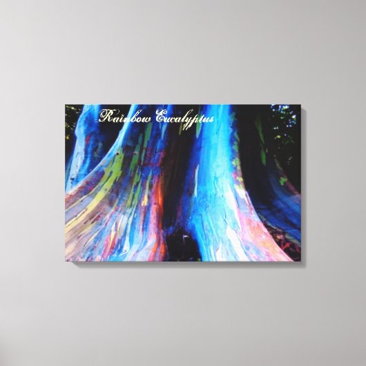 De regenboog Eucalyptus Boom van Hawaï Canvas Afdruk (Voorkant)