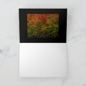 De Regenboog van de herfst Kaart (Binnen)