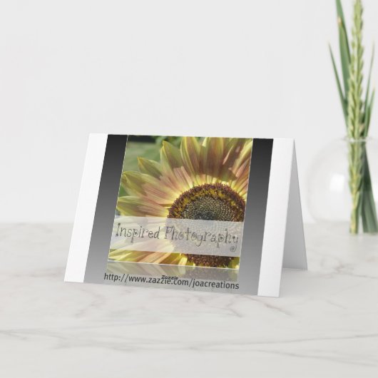 De Regenboog van de winter Kaart (Achterkant)