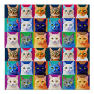 De regenboog van katten perfect poster