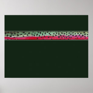 De regenboogforel van de huid poster