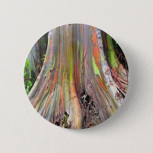 De regenboogproducten met eucalyptusbomen ronde button 5,7 cm (Voorkant)