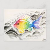 De regenboogvis  briefkaart (Voorkant)
