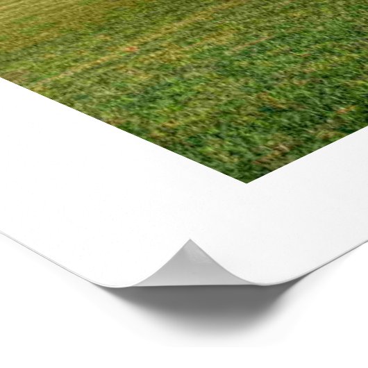 De Reichstag Poster (Hoek)