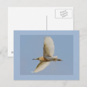 De Reiger van Squacco Briefkaart (Voorkant / Achterkant)