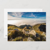 De reis briefkaart (Voorkant / Achterkant)