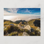 De reis briefkaart (Voorkant)