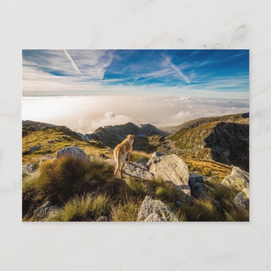 De reis briefkaart (Voorkant)