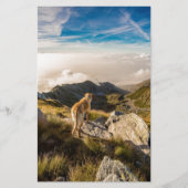 De reis briefpapier (Voorkant)