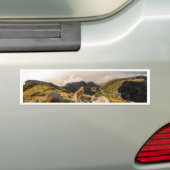 De reis bumpersticker (Op auto)