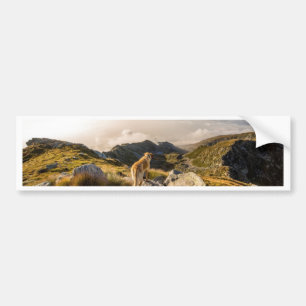 De reis bumpersticker