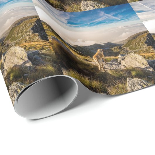 De reis cadeaupapier (Rol Hoek)