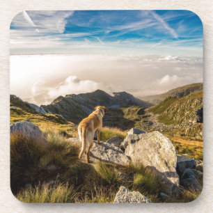 De reis drankjes onderzetter