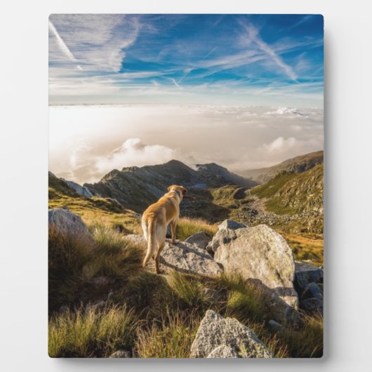 De reis fotoplaat (Voorkant)