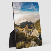 De reis fotoplaat (Zijkant)