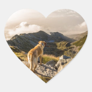 De reis hart sticker