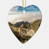 De reis keramisch ornament (Links)