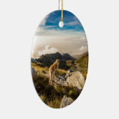 De reis keramisch ornament (Rechts)