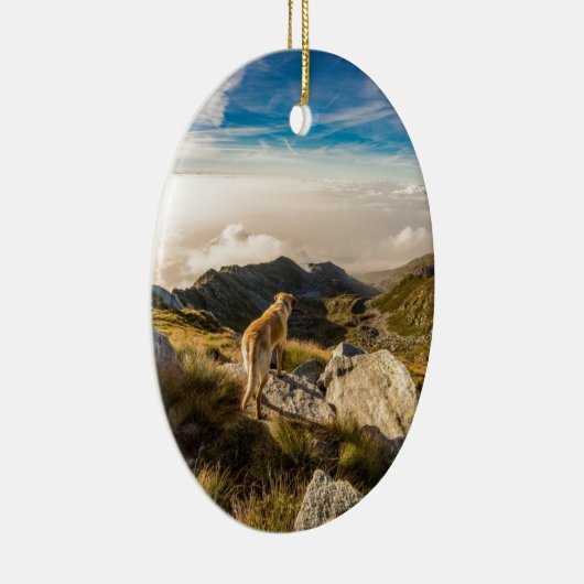 De reis keramisch ornament (Rechts)