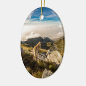 De reis keramisch ornament (Links)