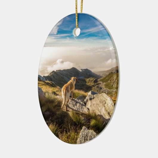 De reis keramisch ornament (Links)